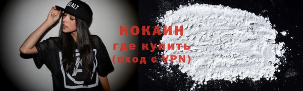 шишки Наволоки