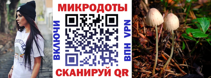 Купить закладки Усинск Галлюциногенные грибы мицелий